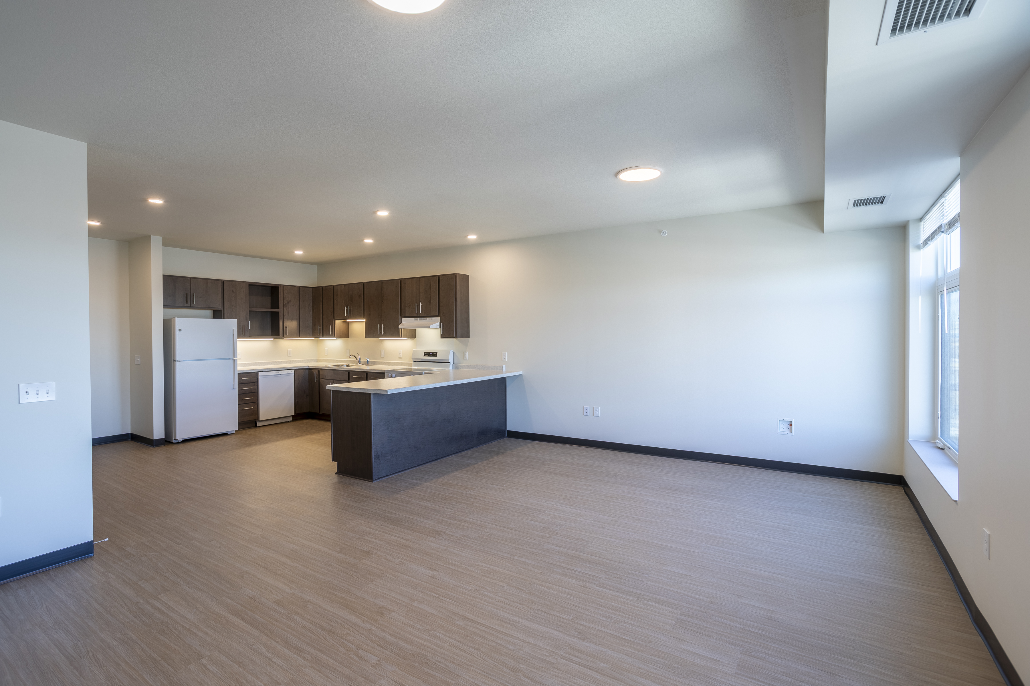 Spacious in-unit living room and kitchen