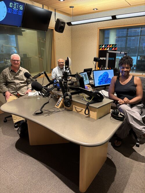 PPL's Henry Rucker and MPR's Angela Davis