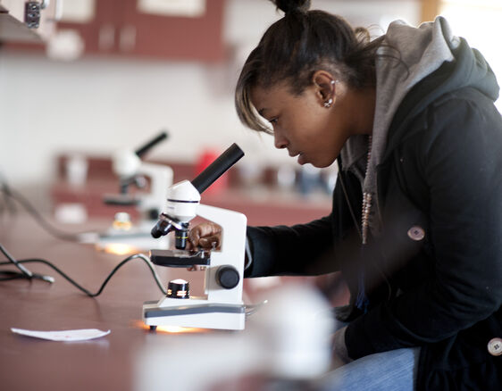 Looking through microscope